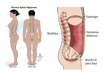 What is Posture?